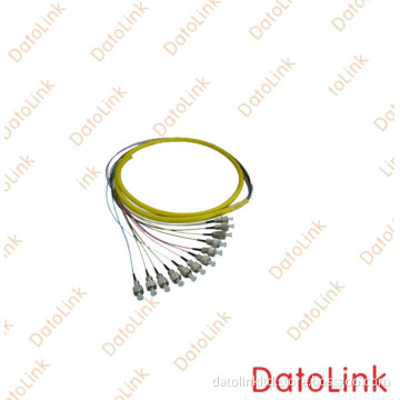 Fiber Optic Pigtail/Pigtails/Fibre Optical Pigtail